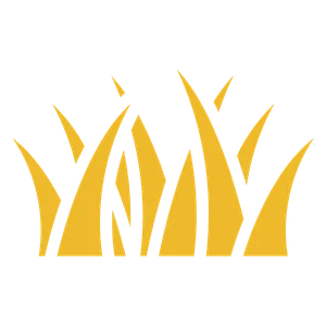 Lawn